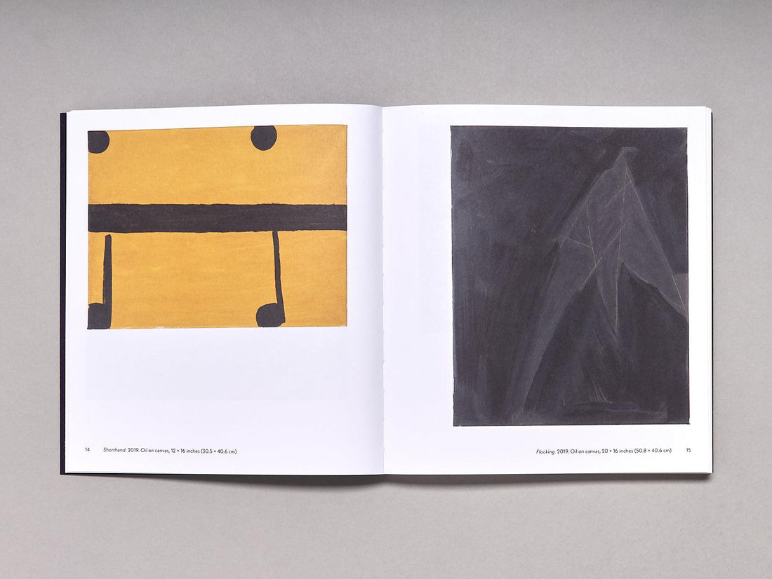 PETER SHEAR: ACCIDENT REPORT - Antenne Books
