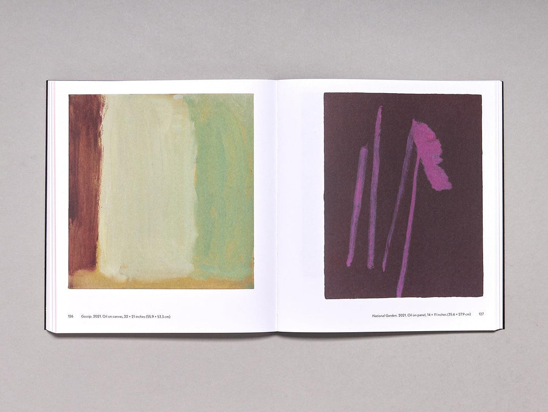 PETER SHEAR: ACCIDENT REPORT - Antenne Books