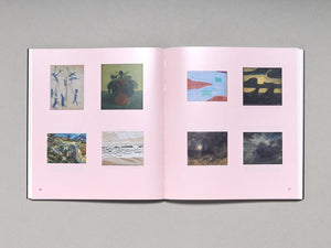 PETER SHEAR: ACCIDENT REPORT - Antenne Books