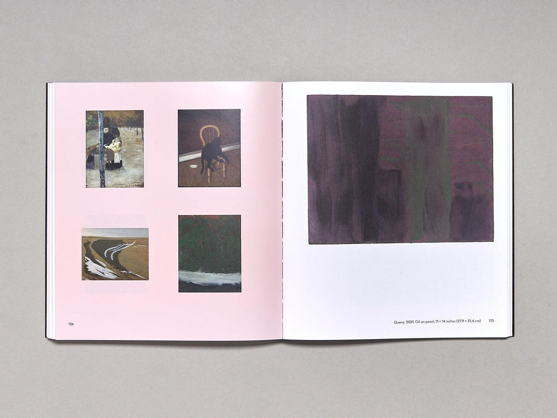 PETER SHEAR: ACCIDENT REPORT - Antenne Books