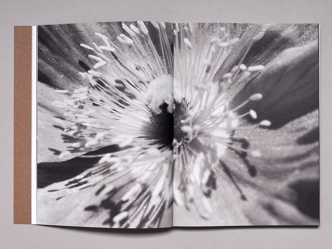 Montana Issue Zero - Antenne Books