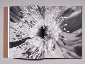 Montana Issue Zero - Antenne Books