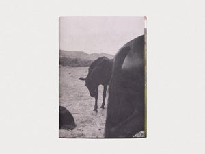 Walk To The Moon - Antenne Books