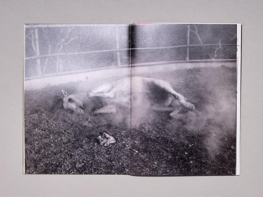 Walk To The Moon - Antenne Books