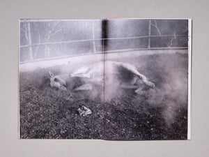 Walk To The Moon - Antenne Books