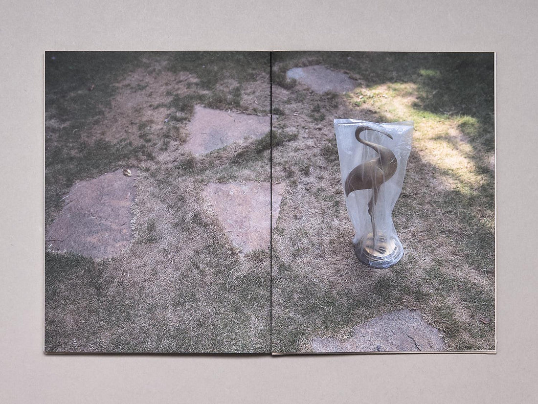 How to Climb A Tree - Antenne Books