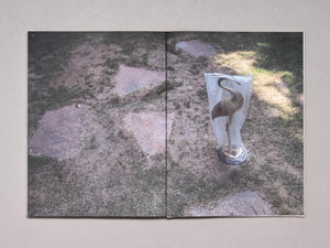 How to Climb A Tree - Antenne Books