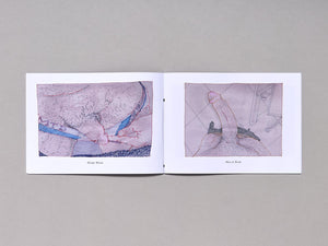 DICKIRAN - Antenne Books