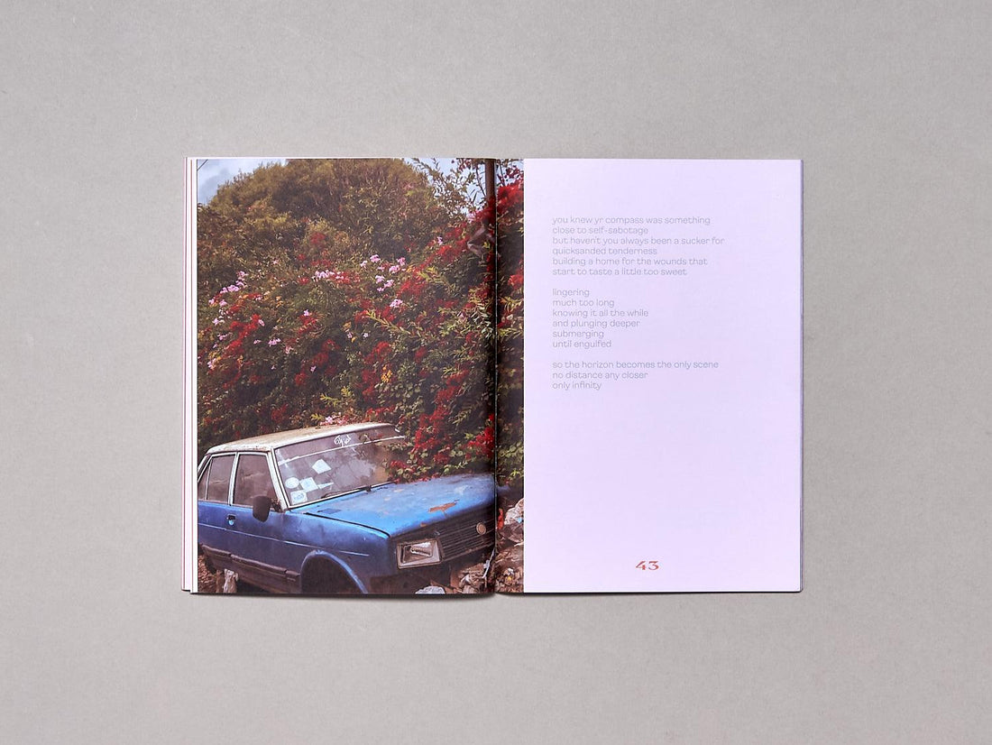 My Land Has Always Been Elusive - Antenne Books