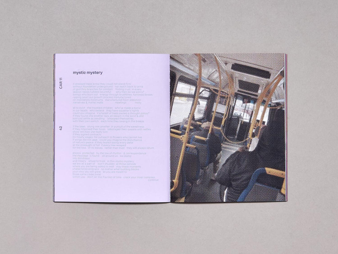 (Not) In Service - Antenne Books