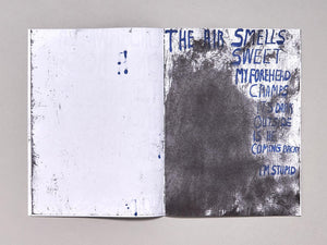 SOFT PROBLEMS - Antenne Books