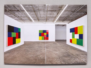 Peter Halley: Cell Grids - Antenne Books