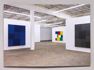 Peter Halley: Cell Grids - Antenne Books