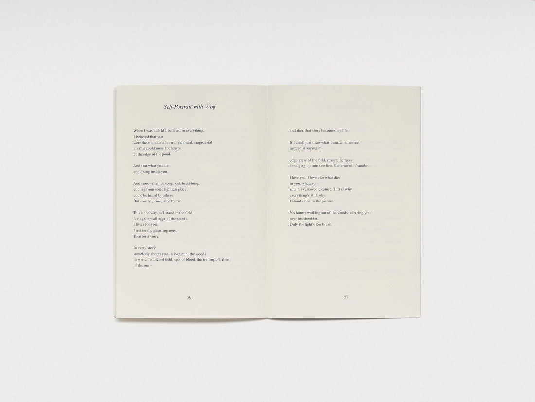 A Night in the Country - Antenne Books