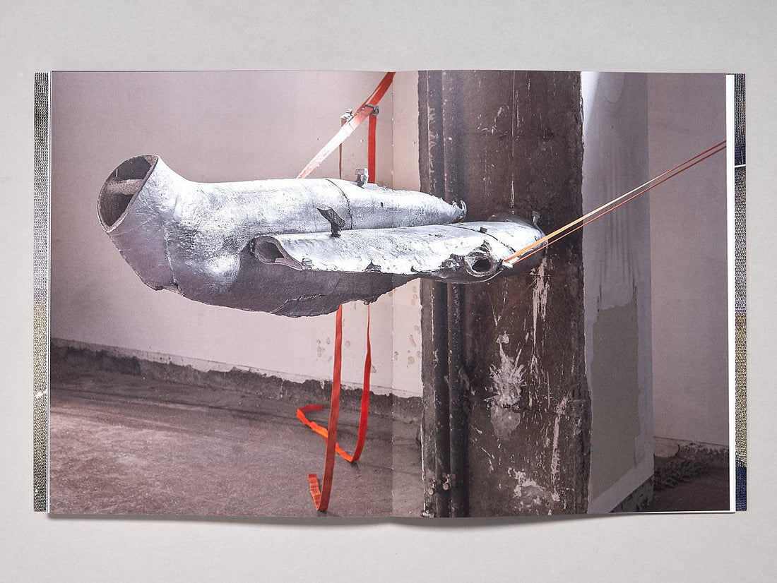 Vieron su casa hacerse campo - Antenne Books