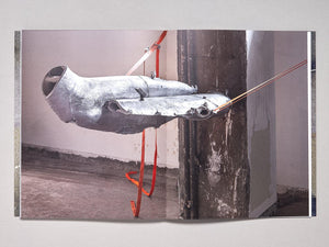 Vieron su casa hacerse campo - Antenne Books