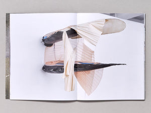 Vieron su casa hacerse campo - Antenne Books