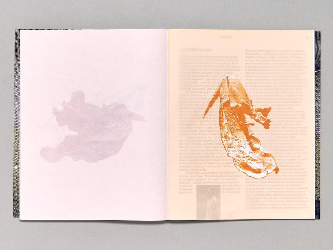 Vieron su casa hacerse campo - Antenne Books