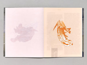 Vieron su casa hacerse campo - Antenne Books