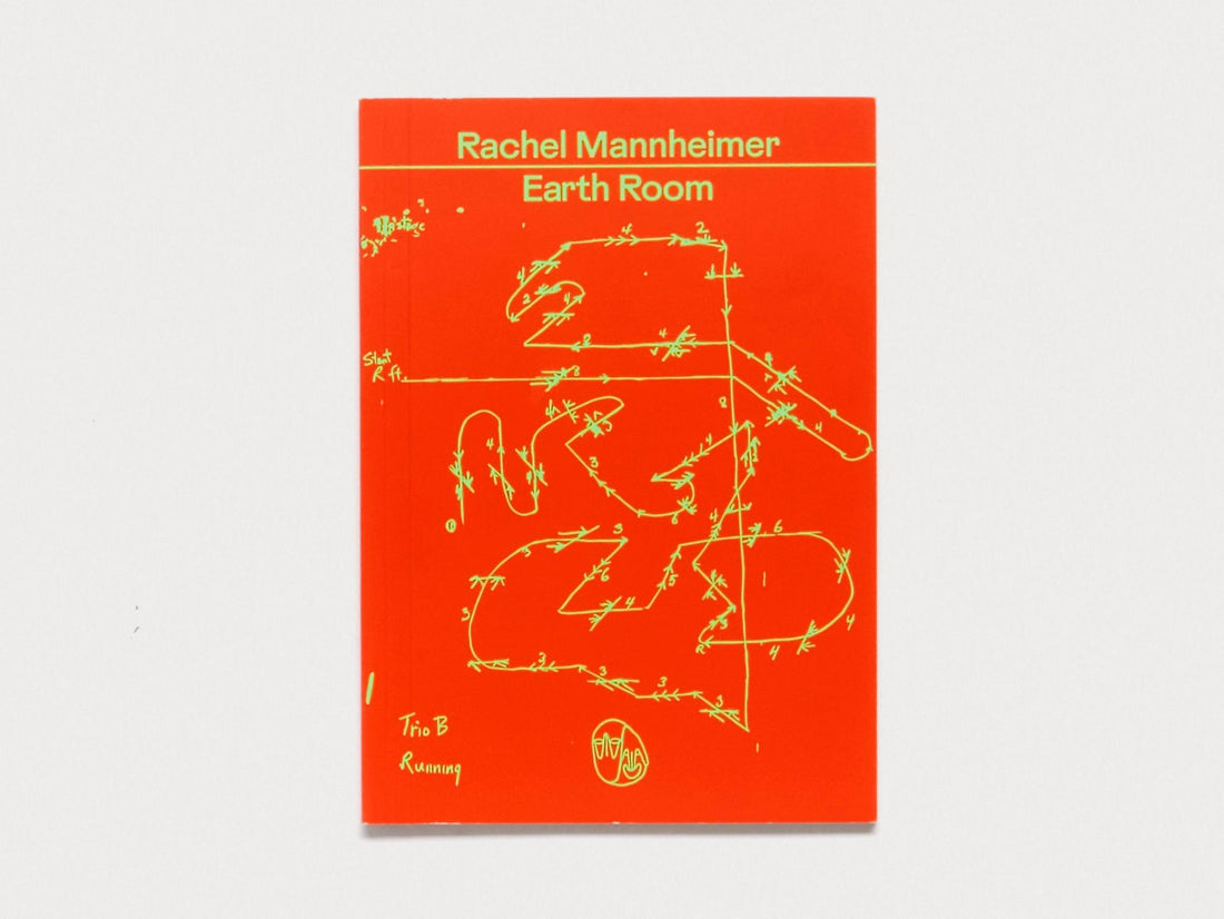 Earth Room - Antenne Books