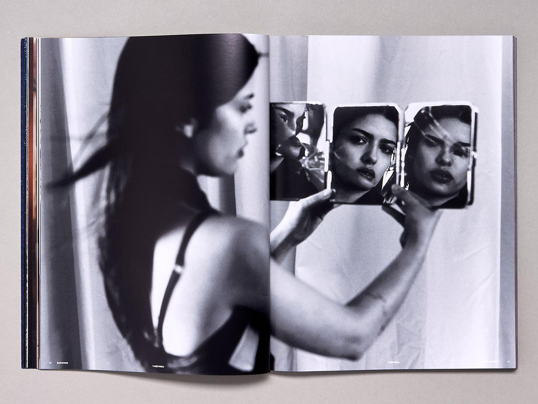 GAUCHOWORLD Issue 5 Elevation - Antenne Books