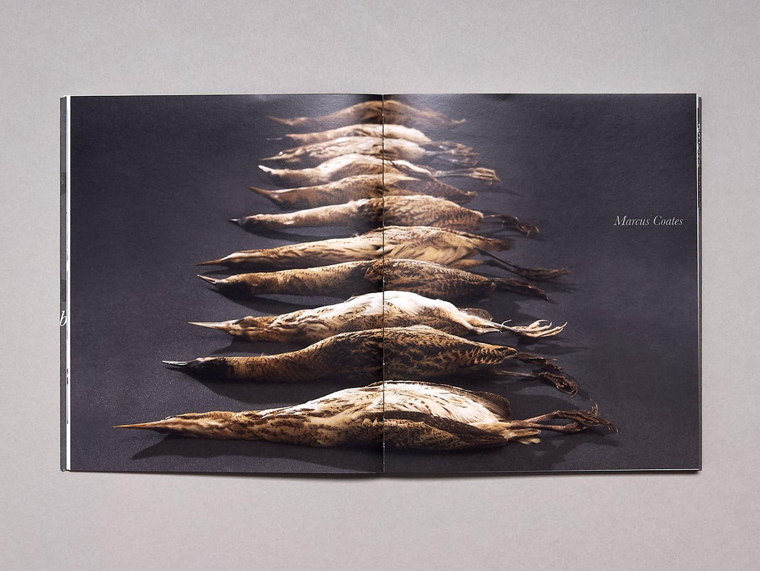 Waterlog: Journeys Around an Exhibition - Antenne Books