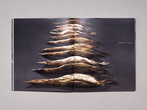 Waterlog: Journeys Around an Exhibition - Antenne Books