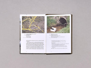 The Return of the Native: Suky Best - Antenne Books
