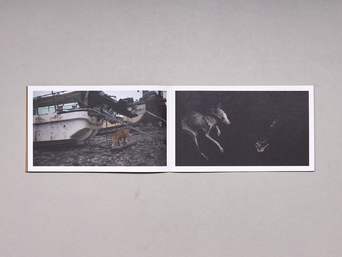 Jerwood/FVU Awards 2016: ‘Borrowed Time’: Karen Kramer, Alice May Williams - Antenne Books