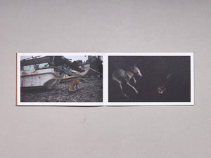 Jerwood/FVU Awards 2016: ‘Borrowed Time’: Karen Kramer, Alice May Williams - Antenne Books