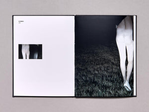 It could happen to you: A K Dolven - Antenne Books