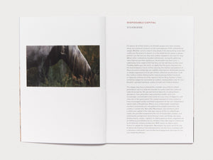 Anarcadia: Ruth Maclennan - Antenne Books