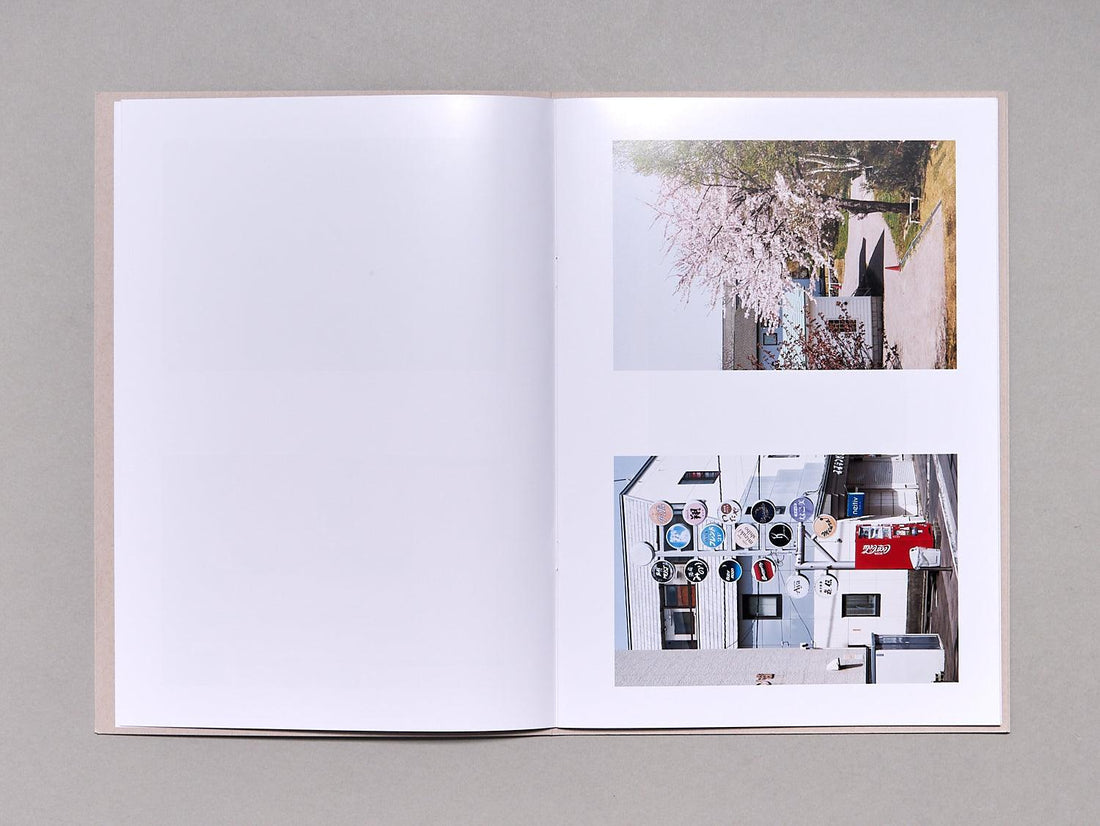 How Things Look - Antenne Books