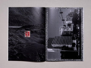 Cow Corner: Cricket World Cup 2024 - Antenne Books