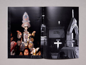 Cow Corner: Cricket World Cup 2024 - Antenne Books