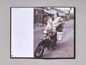 APOCALYPSE VOL 3 - Antenne Books