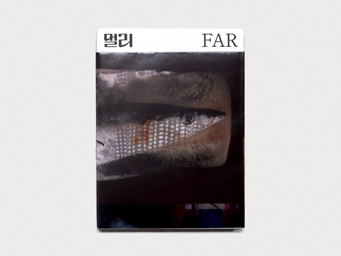 FAR–NEAR Vol. 5 - Divergence - Antenne Books