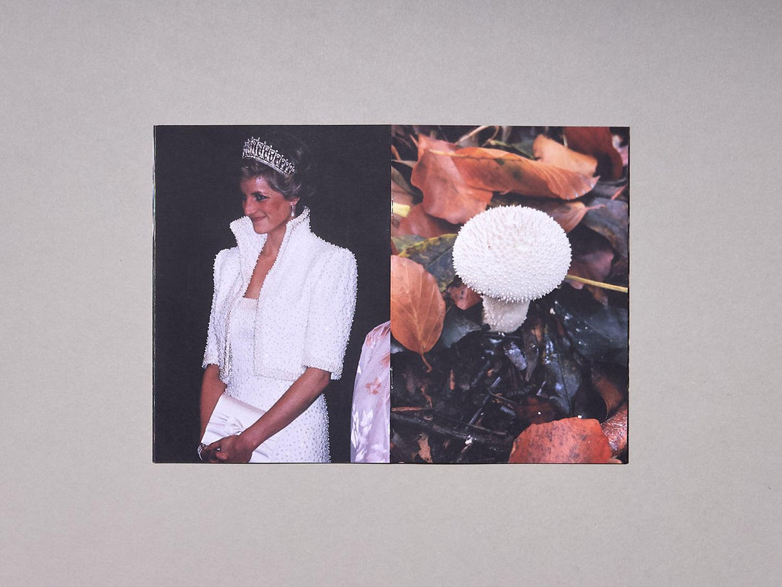 Princess Diana as Mushrooms - Antenne Books