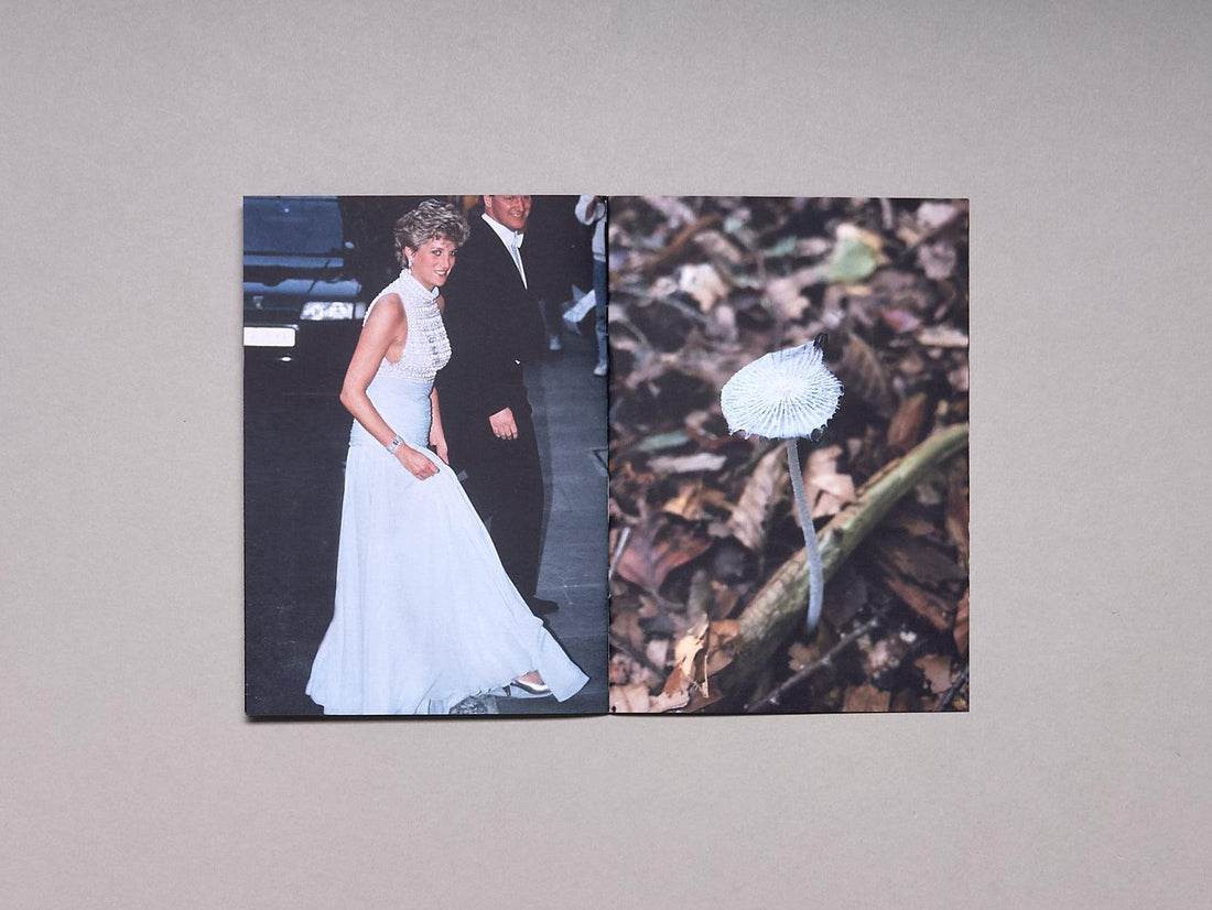 Princess Diana as Mushrooms - Antenne Books