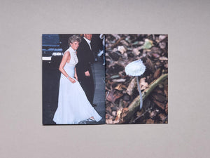 Princess Diana as Mushrooms - Antenne Books