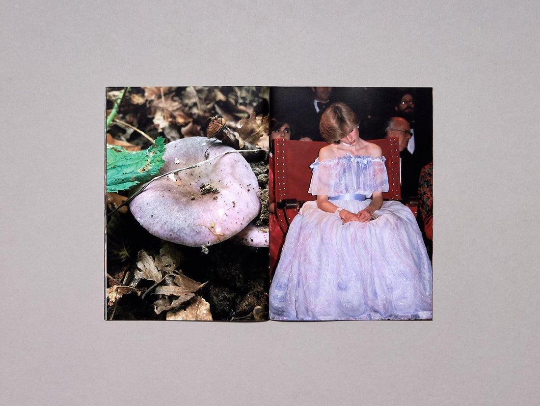 Princess Diana as Mushrooms Volume II - Antenne Books