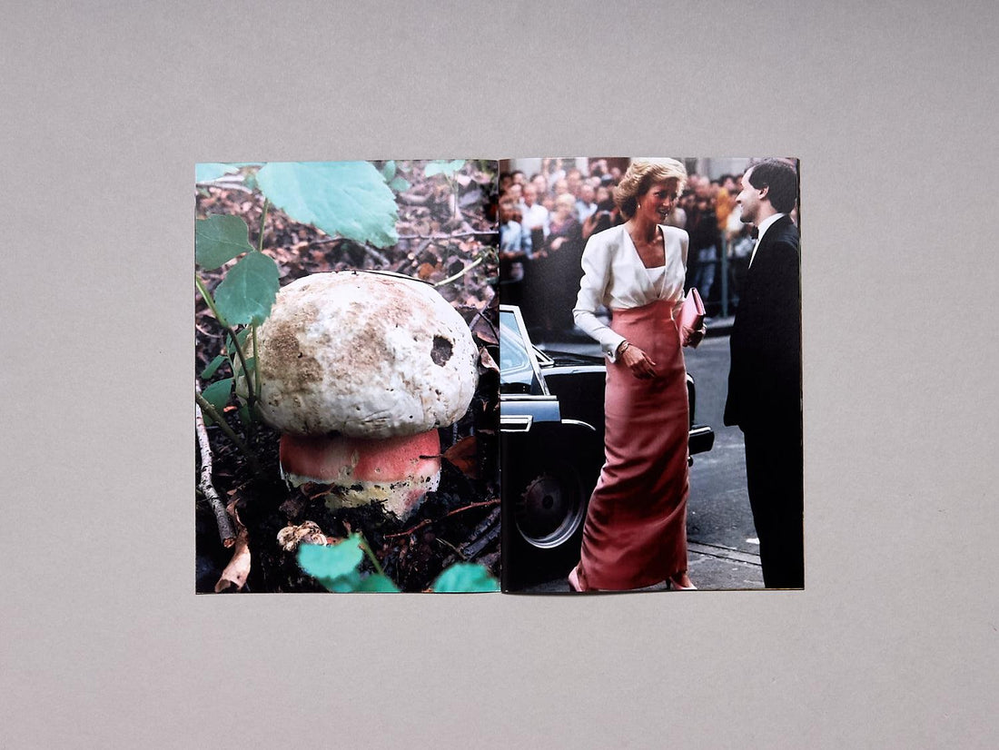 Princess Diana as Mushrooms Volume II - Antenne Books