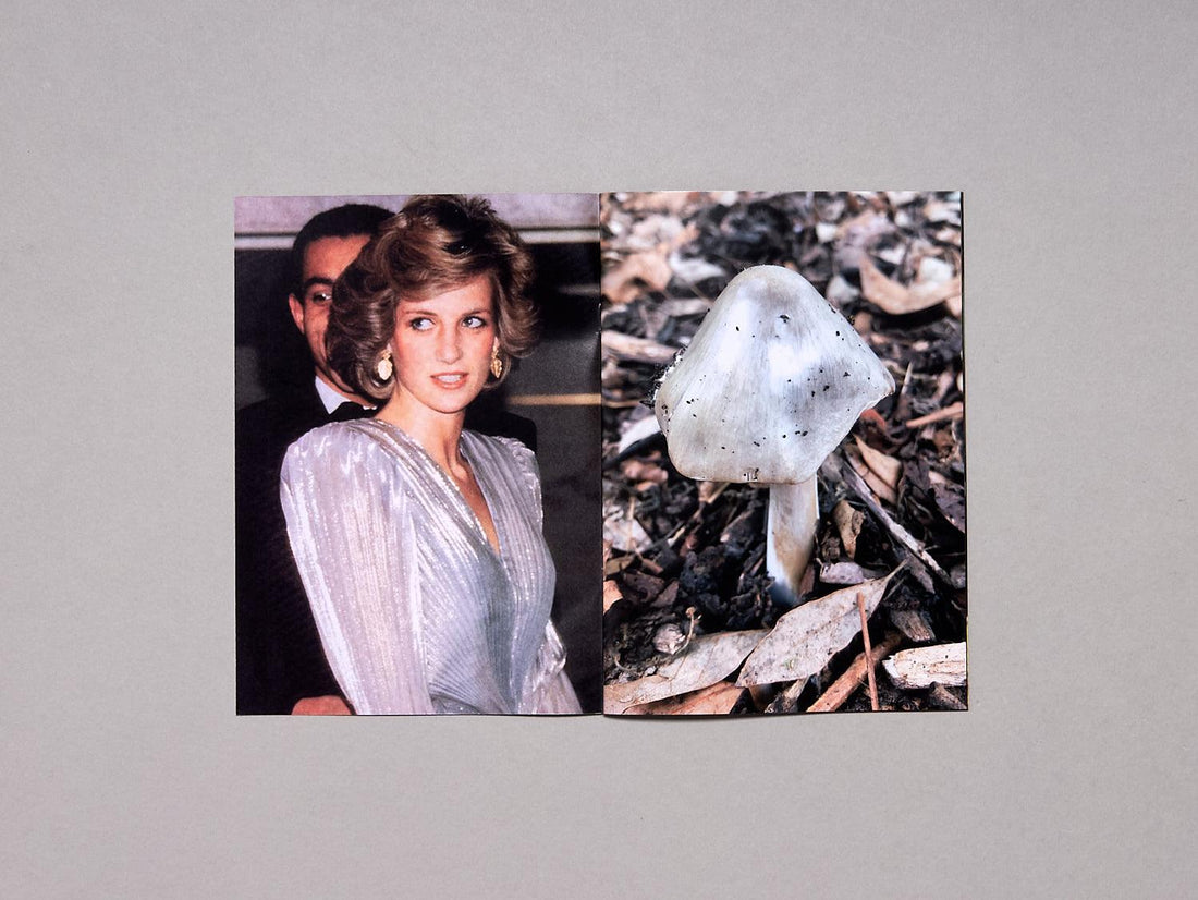 Princess Diana as Mushrooms Volume II - Antenne Books