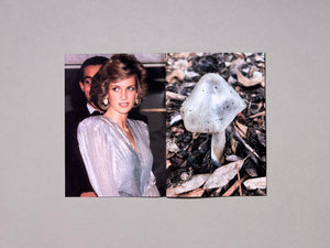 Princess Diana as Mushrooms Volume II - Antenne Books