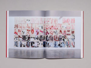 Amy Sillman: To Be Other-Wise - Antenne Books