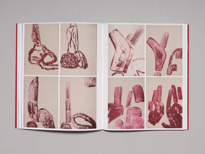 Amy Sillman: To Be Other-Wise - Antenne Books