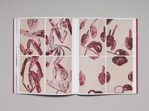 Amy Sillman: To Be Other-Wise - Antenne Books