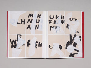 Amy Sillman: To Be Other-Wise - Antenne Books