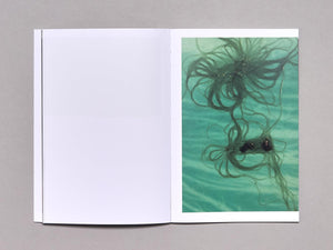 'Algues Maudites, a Sea of Tears' - Antenne Books