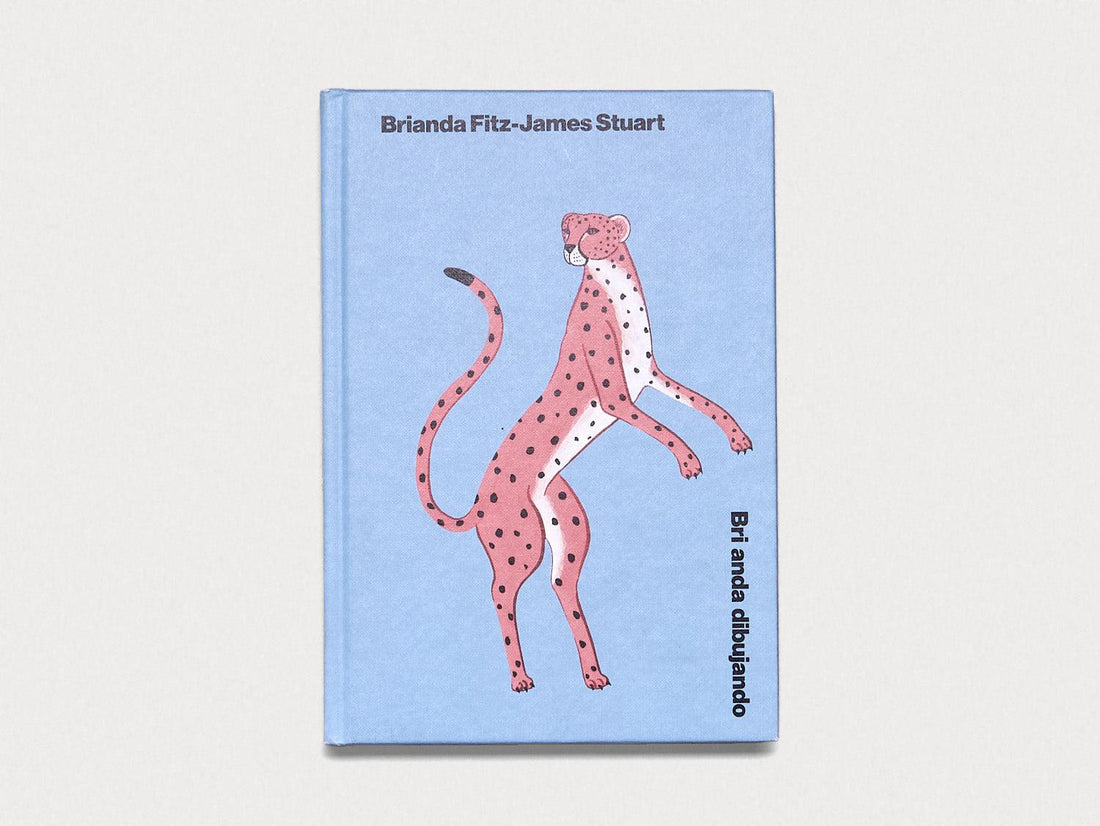 Brianda Dibujando - Antenne Books